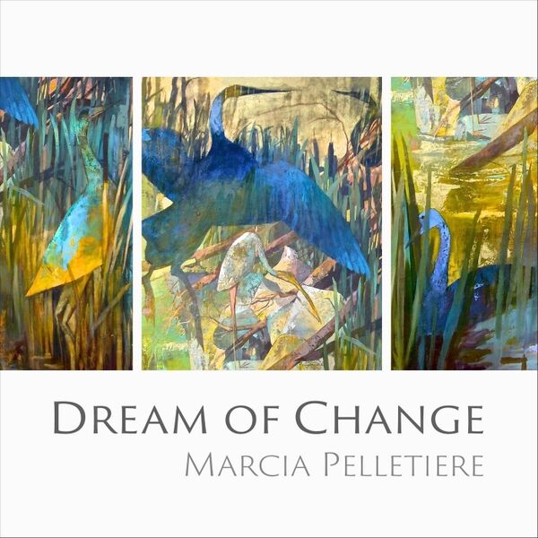 Cover art for Dream of Change